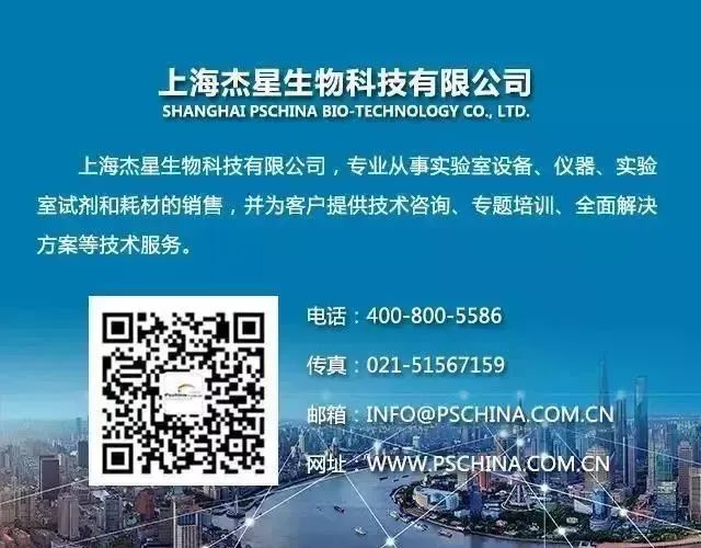 _户外烧烤团建活动发说说_团建烧烤简短高级文案
